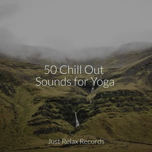 50 Chill Out Sounds for Yoga - Sonidos de la Naturaleza Relajacion