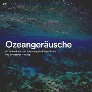#01 Ozeangeräusche für Innere Ruhe und Förderung der Körperlichen und Seelischen Heilung - Meeresgeräusche