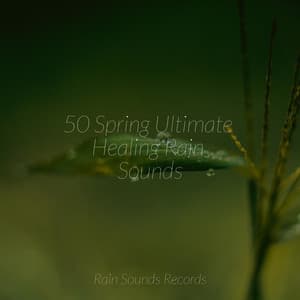 50 Spring Ultimate Healing Rain Sounds - Relaxed Minds