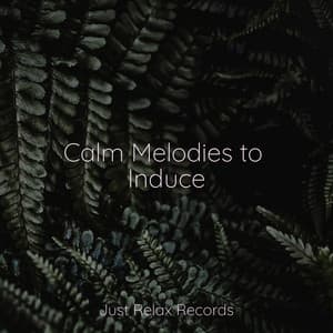Calm Melodies to Induce - Música Zen Relaxante