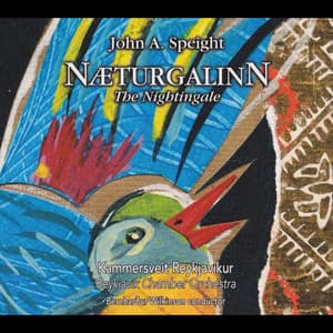 Næturgalinn - Bernharður Wilkinson