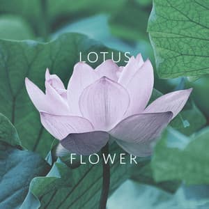Lotus Flower - Michael Tedstone