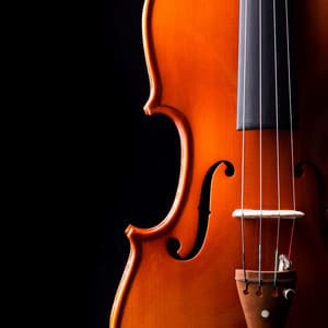 Classical Orchestra for a Cat’s Peaceful Night - Charles Anderson