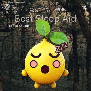 Best Sleep Aid - Sleep Lemons Music