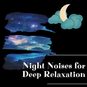 Night Noises for Deep Relaxation - Night Sounds Channel