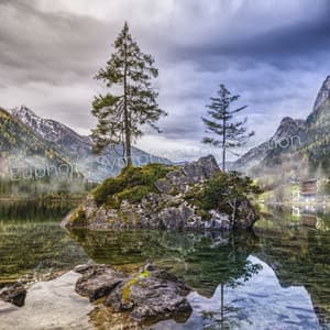 Euphoric Symphony of Affection - Lumenis