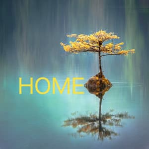 Home - Zen Mechanics