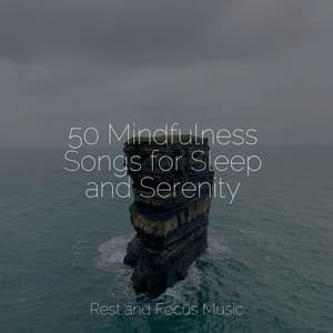 50 Mindfulness Songs for Sleep and Serenity - Deep Focus