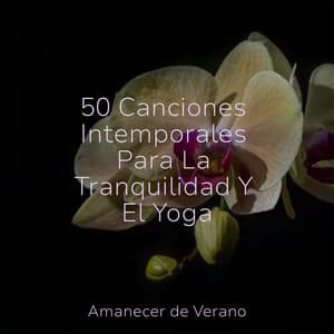50 Canciones Intemporales Para La Tranquilidad Y El Yoga - Meditación