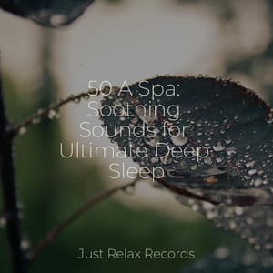 50 A Spa: Soothing Sounds for Ultimate Deep Sleep - Música Relajante para Bebés