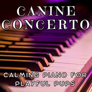 Canine Concerto - Calming Piano for Playful Pups - Dog Music Collective