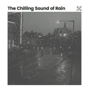 The Chilling Sound of Rain - Rain Sound Studio