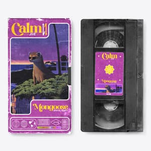 Calm Jive: Mongoose Spatial Tones - Pets Relax