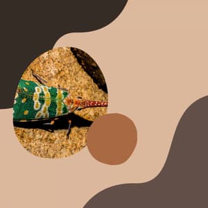 Personal Wellness - Piano Bar Lounge