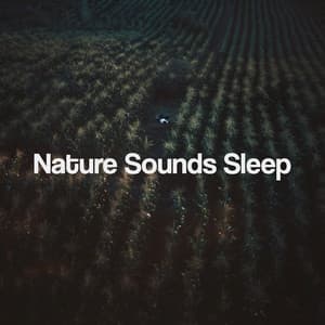Nature Sounds Sleep - Nature Sounds Nature Music