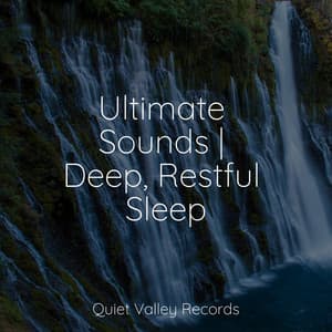 Ultimate Sounds | Deep, Restful Sleep - Nature Music Pregnancy Academy