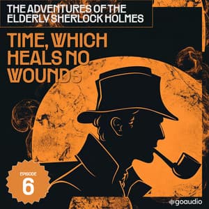 Time, Which Heals No Wounds - Sherlock Holmes (English)