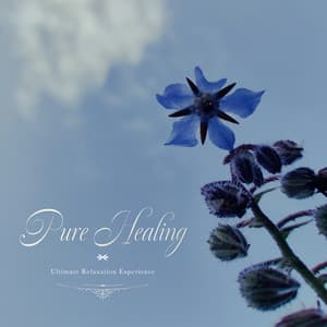 Pure Healing – Ultimate Relaxation Experience - Healing Energy