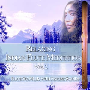 Relaxing Indian Flute Meditation, Vol. 2: Flute Spa Music with Nature Sounds - Flute Music Meditation DEA Channel