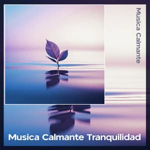 Musica Calmante Tranquilidad - Música Calmante