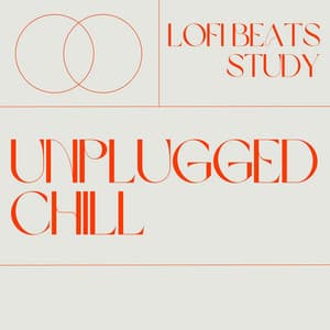 Unplugged Chill: Relaxing Lofi Vibes - Lofi Beats Study