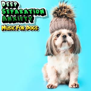 Deep Separation Anxiety Cute For Restless Anxious Dogs - Deep Separation Anxiety Music For Dogs