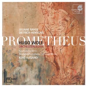 Wolf: Orchesterlieder - Hugo Wolf