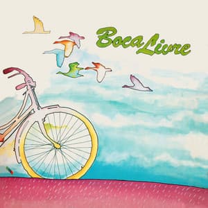 Bicicleta - Boca Livre