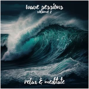Wave Sessions - Volume 2 - Relax and Meditate