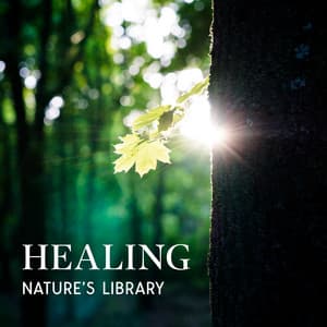 Healing Nature’s Library: Pure Sounds of Nature, No Music - Nature Collection