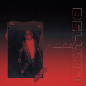 The Shadow In The Shade - Sy Ari Da Kid