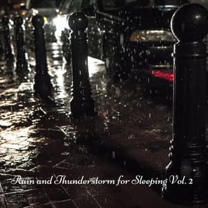 Rain and Thunderstorm for Sleeping Vol. 2 - Rain Hive