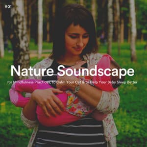 #01 Nature Soundscape for Mindfulness Practices, to Calm Your Cat & to Help Your Baby Sleep Better - The Nature Soundscapes