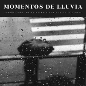 Momentos De Lluvia: Estudia Con Los Relajantes Sonidos De La Lluvia - Musica Para Estudiar Academy