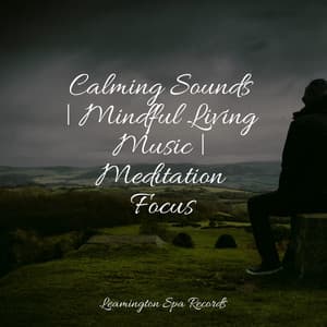 Calming Sounds | Mindful Living Music | Meditation Focus - Oceanic Yoga Pros