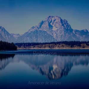 50 Músicas Delicadas Para Aliviar El Estrés Y Relajarse - Chillout Lounge