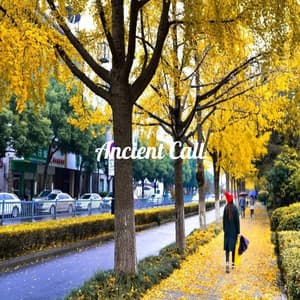 Ancient Call - Piano Mood 钢琴心情