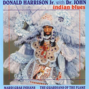 Indian Blues - Donald Harrison