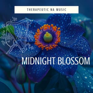 Midnight Blossom - Therapeutic NA Music