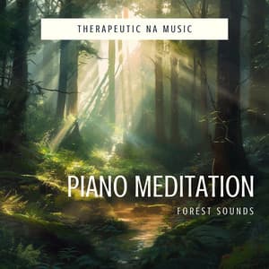 Piano Meditation - Therapeutic NA Music
