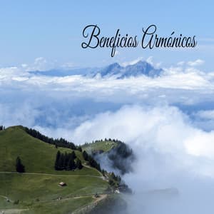 Beneficios Armónicos - Música Instrumental Maestro
