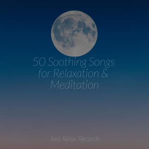 50 Soothing Songs for Relaxation & Meditation - Musica para Dormir Dream House