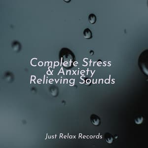 Complete Stress & Anxiety Relieving Sounds - Study Music & Sounds