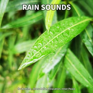 Rain Sounds for Bedtime, Stress Relief, Relaxation, Inner Peace - Nature Sounds