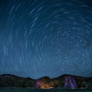 10,000 Frequencies: Nocturnal Frequencies - White Noise Therapy