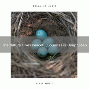The Nature Gives Peaceful Sounds For Deep Sleep - Water Soundscapes
