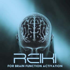 Reiki for Brain Function Activation - Reiki Healing Zone