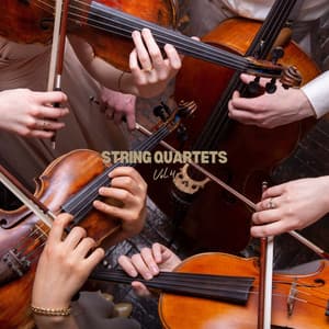 String Quartets Vol.4 - Gaetano Donizetti