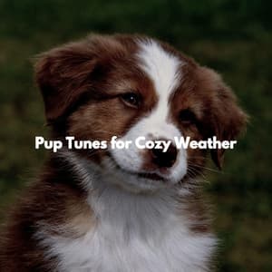 Pup Tunes for Cozy Weather - Lounge Music Cafe