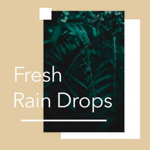 Fresh Rain Drops - Relaxing Chill Out Music
